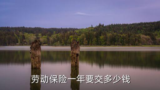 勞動(dòng)保險(xiǎn)費(fèi),建筑工程勞動(dòng)保險(xiǎn)費(fèi)