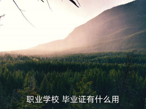 職業(yè)學(xué)校 畢業(yè)證有什么用