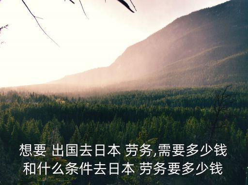 出國勞務(wù)的費用