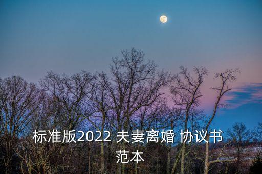 標(biāo)準(zhǔn)版2022 夫妻離婚 協(xié)議書 范本
