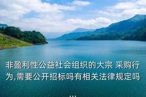 非盈利性公益社會組織的大宗 采購行為,需要公開招標嗎有相關法律規(guī)定嗎...