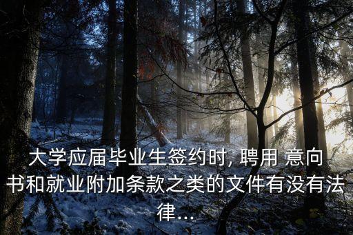 聘用意向書
