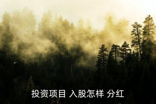 投資項目 入股怎樣 分紅
