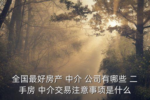全國(guó)最好房產(chǎn) 中介 公司有哪些 二手房 中介交易注意事項(xiàng)是什么