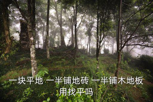 地一半