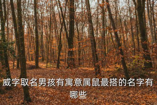曾威