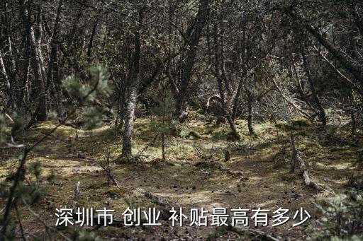 深圳創(chuàng)業(yè)補(bǔ)貼