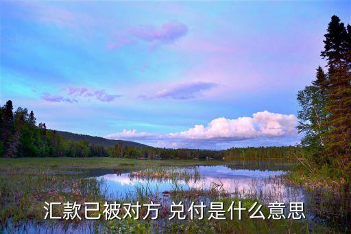 匯款已被對方 兌付是什么意思