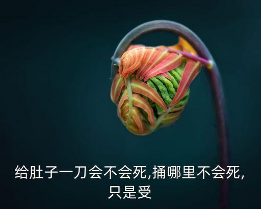 給肚子一刀會不會死,捅哪里不會死,只是受
