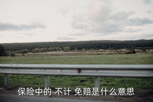 不計免賠