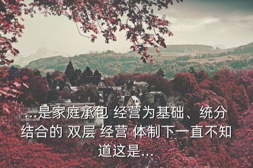 ...是家庭承包 經(jīng)營(yíng)為基礎(chǔ)、統(tǒng)分結(jié)合的 雙層 經(jīng)營(yíng) 體制下一直不知道這是...