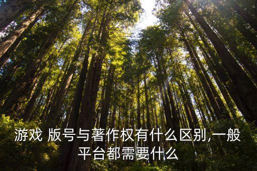 版號是什么,一個(gè)游戲獲得版號是什么