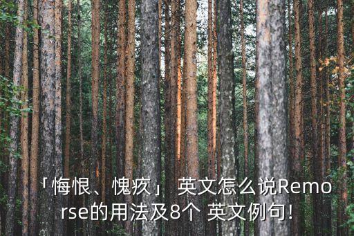 后悔的形容詞英文,后悔是形容詞嗎