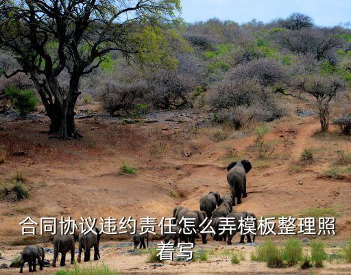  合同協(xié)議違約責任怎么弄模板整理照著寫