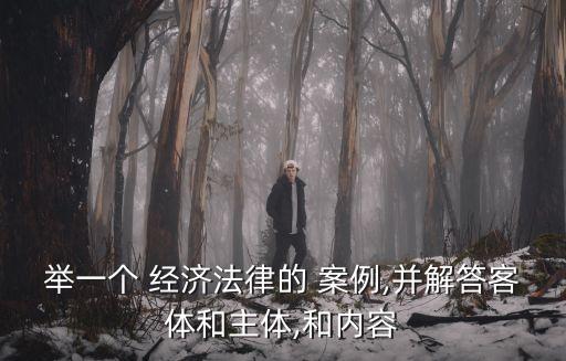 經(jīng)濟法中合同法案例分析