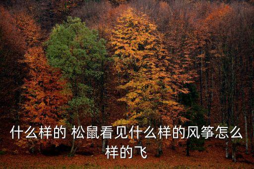 什么的松鼠,填動詞什么的松鼠