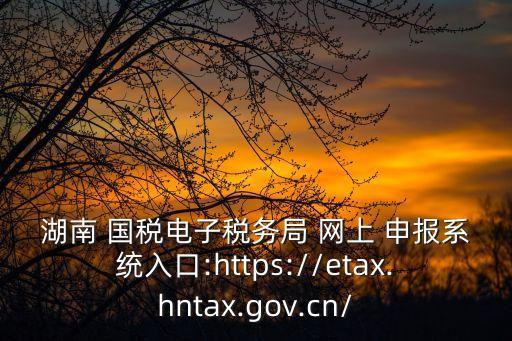 湖北國稅網(wǎng)上申報,國稅網(wǎng)上申報怎么操作流程