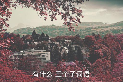 有什么 三個子詞語