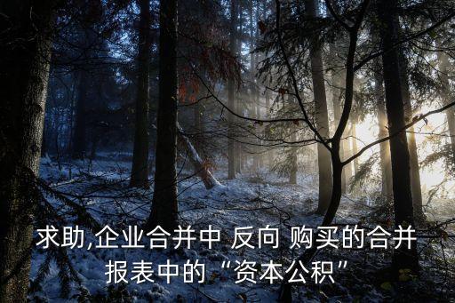 求助,企業(yè)合并中 反向 購買的合并報(bào)表中的“資本公積”