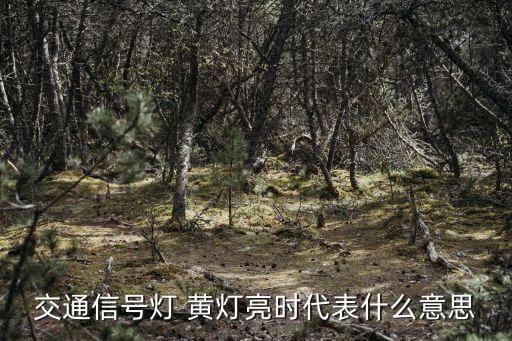 黃燈表示什么,燃?xì)鈭缶髁咙S燈表示什么