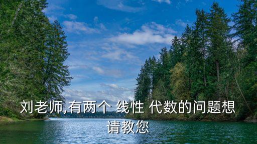 劉老師,有兩個 線性 代數(shù)的問題想請教您