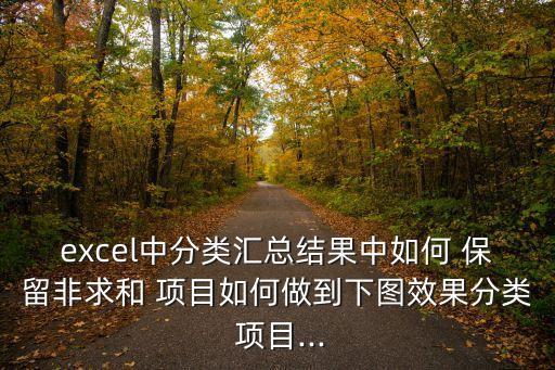 excel中分類匯總結(jié)果中如何 保留非求和 項(xiàng)目如何做到下圖效果分類 項(xiàng)目...