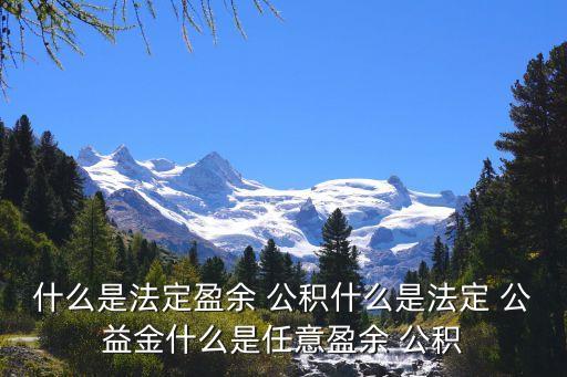 公積公益金