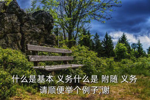 什么是基本 義務(wù)什么是 附隨 義務(wù)請(qǐng)順便舉個(gè)例子,謝