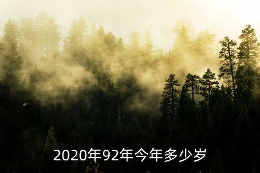 92年多大了,1192年多大了