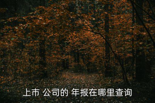 公司年報(bào)