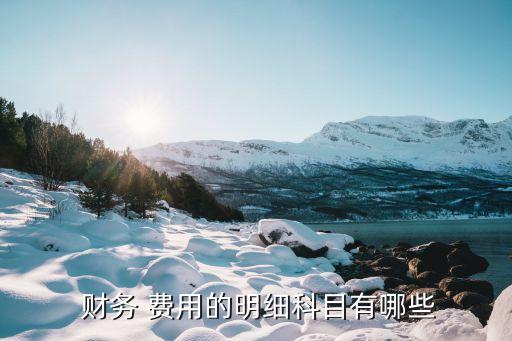 財務(wù) 費用的明細(xì)科目有哪些