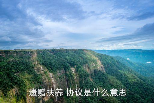 遺贈協(xié)議