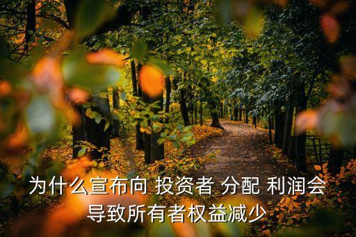 為什么宣布向 投資者 分配 利潤會導(dǎo)致所有者權(quán)益減少