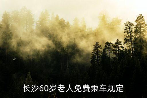 鄒麗娜