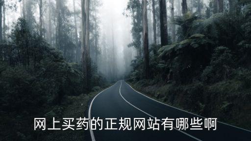 網(wǎng)上買藥的正規(guī)網(wǎng)站有哪些啊