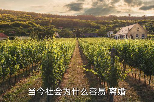 當今社會為什么容易 離婚
