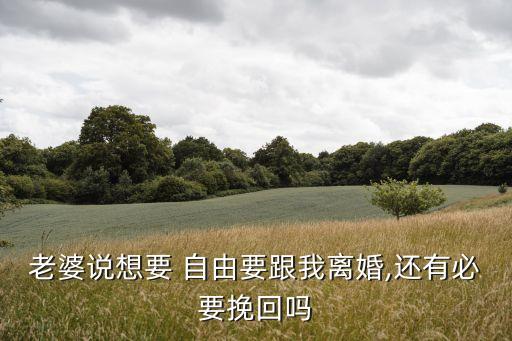 老婆說想要 自由要跟我離婚,還有必要挽回嗎