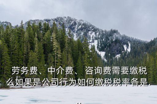 勞務(wù)咨詢費(fèi)