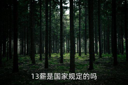 什么是十三薪,13薪和年終獎(jiǎng)沖突嗎
