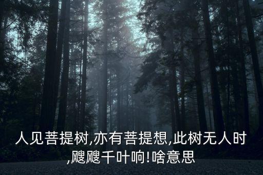 沒有人的時候