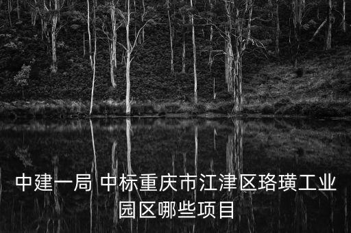 中鐵建設(shè)集團最新中標(biāo)