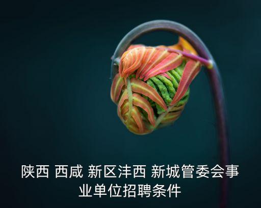 西咸新區(qū)灃西新城