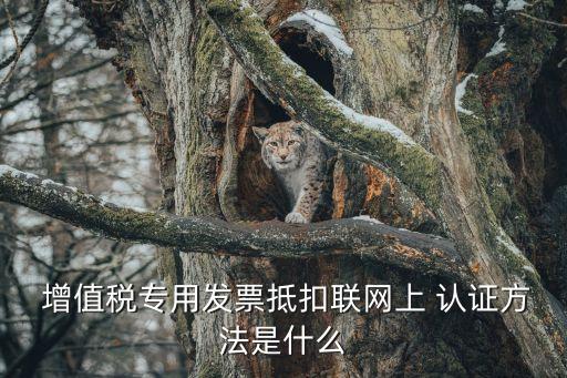 增值稅專票認(rèn)證平臺(tái)
