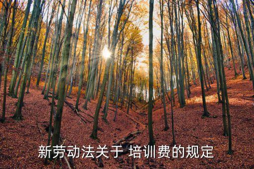 新勞動法關(guān)于 培訓(xùn)費(fèi)的規(guī)定