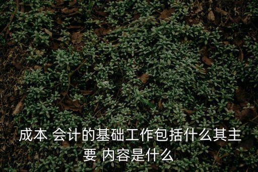 成本會(huì)計(jì)的工作內(nèi)容,sap成本會(huì)計(jì)的工作內(nèi)容
