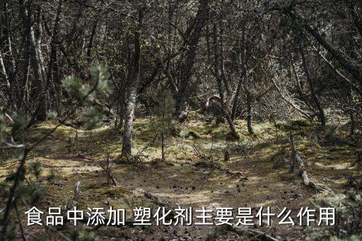 塑化劑是什么東西,白酒塑化劑是什么東西