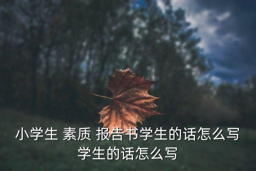 小學(xué)生 素質(zhì) 報(bào)告書學(xué)生的話怎么寫學(xué)生的話怎么寫