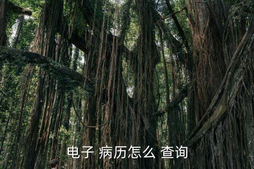 個(gè)人病歷網(wǎng)上查詢,身份證號(hào)能查出病史嗎