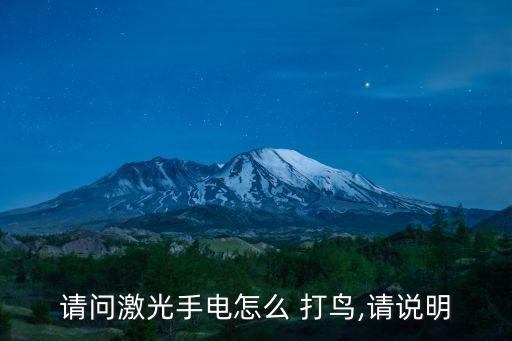 打鳥激光器