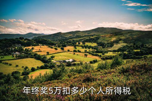  年終獎(jiǎng)5萬扣多少個(gè)人所得稅